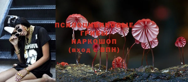 мет Арсеньев