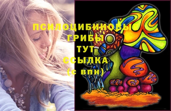 PSILOCYBIN Армянск