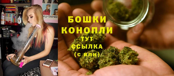 PSILOCYBIN Армянск