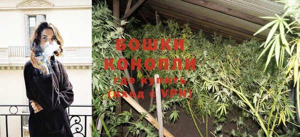 PSILOCYBIN Армянск